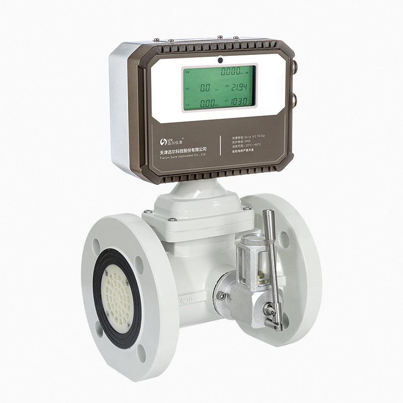 LWQ-T3型氣體渦輪流量計(jì)